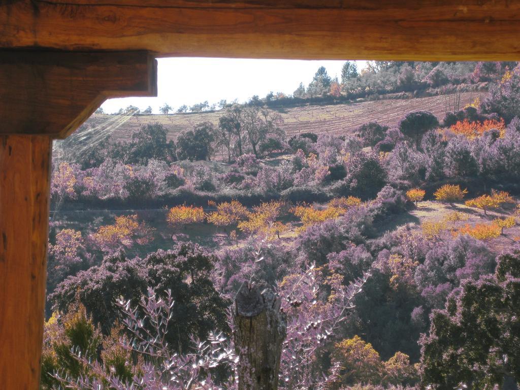 Apartamentos Rurales Candela Cañamero Camera foto