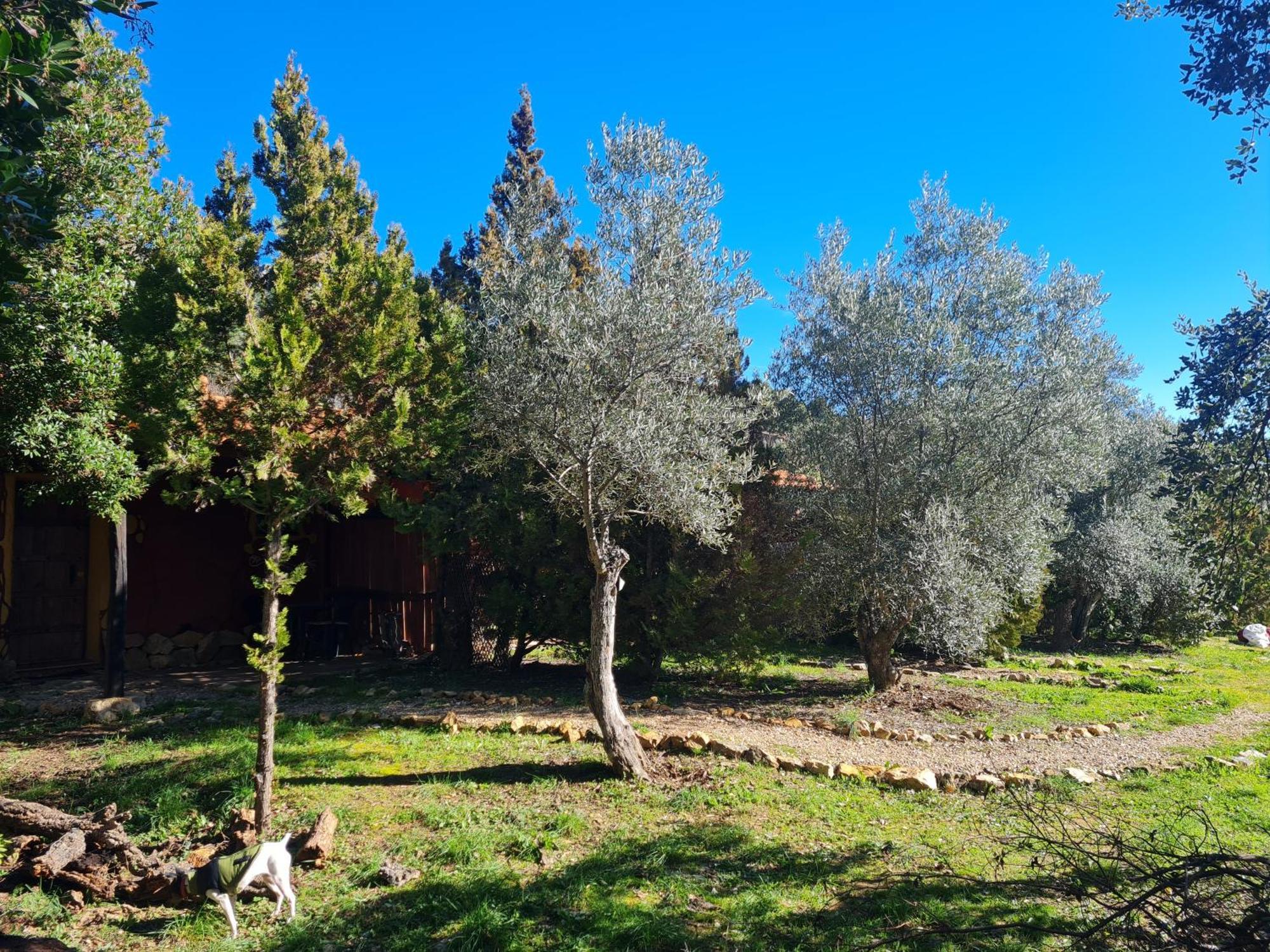 Apartamentos Rurales Candela Cañamero Esterno foto