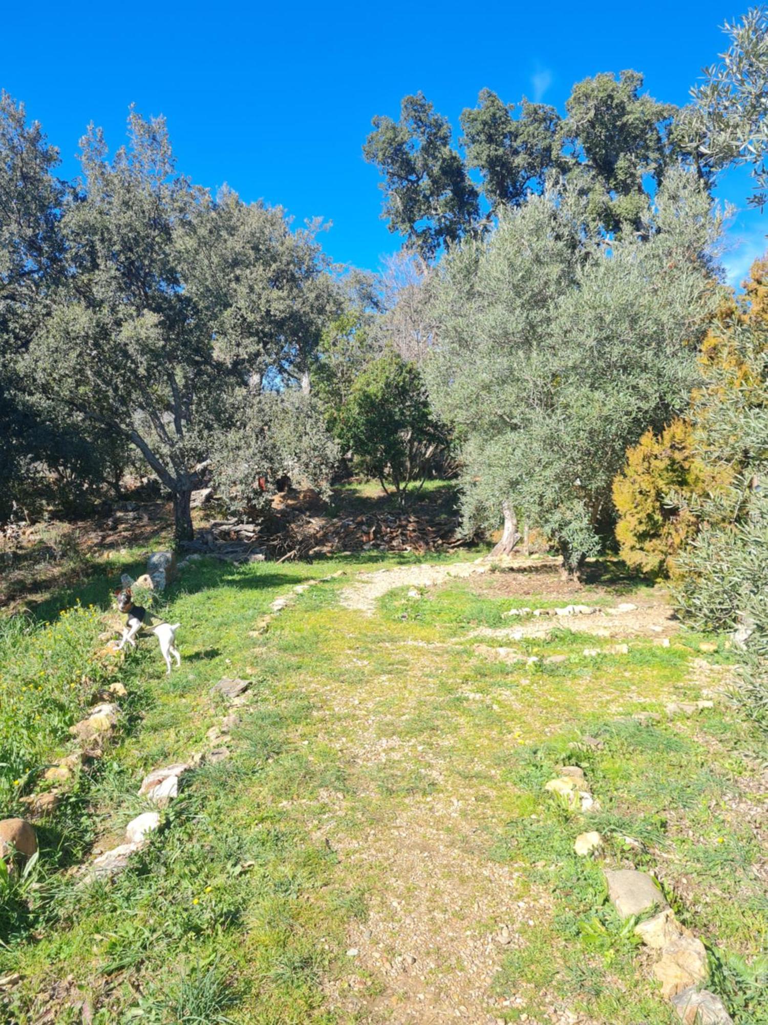 Apartamentos Rurales Candela Cañamero Esterno foto